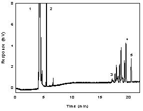 Figure 3.5.1. A chromatogram of 303 µg/mL DHP in toluene with 0.25 µL/mL n-hexyl benzene internal standard. Figure 3.5.1. A chromatogram of 303 µg/mL DHP in toluene with 0.25 µL/mL n-hexyl benzene internal standard.